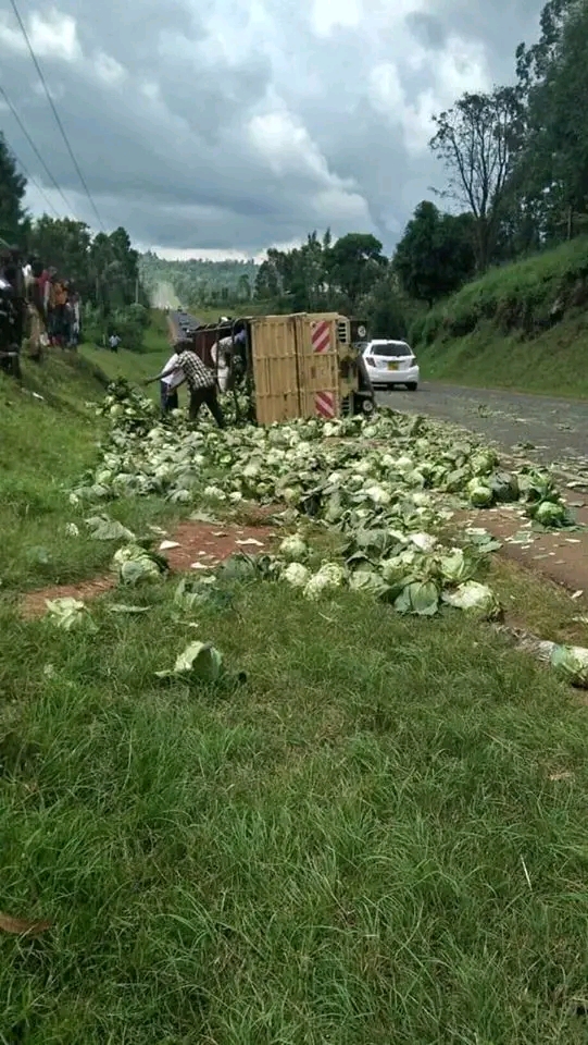 Locals Scramble For Vegetables As Cabbage Carrying Lorry Overturns in Limuru